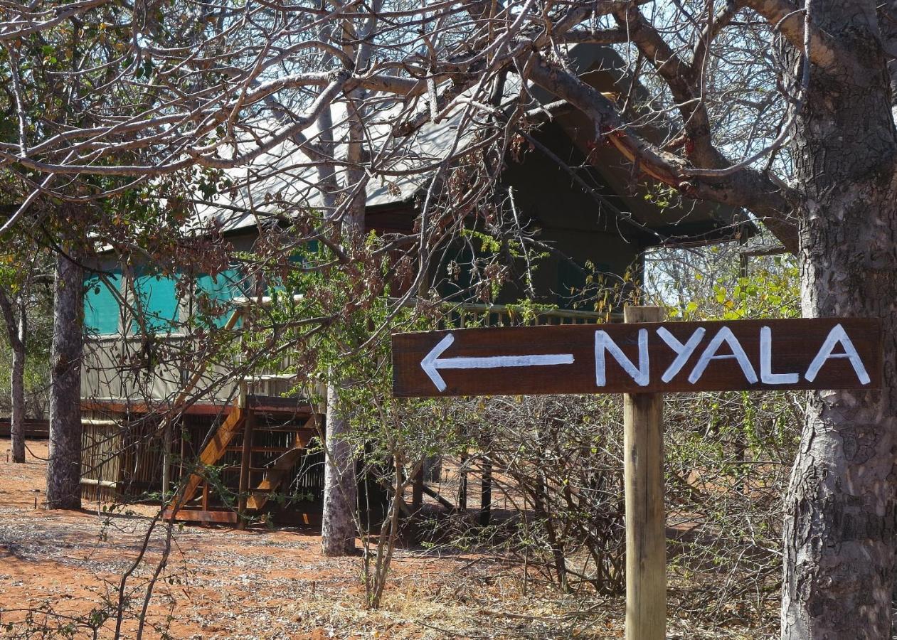Iphofolo Lodge & Tented Camp Vivo Eksteriør billede