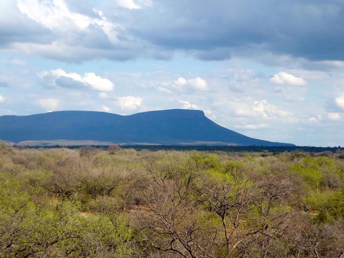 Iphofolo Lodge & Tented Camp Vivo Eksteriør billede