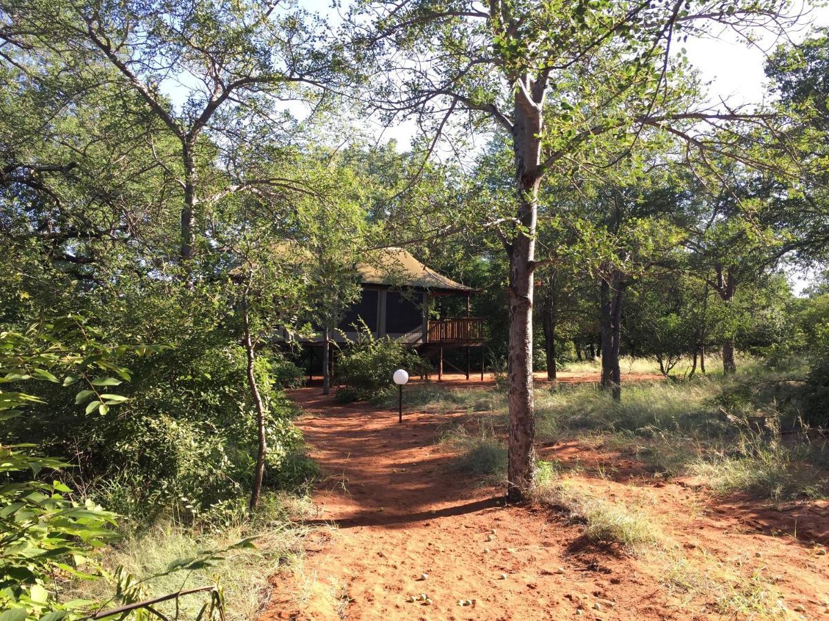 Iphofolo Lodge & Tented Camp Vivo Eksteriør billede