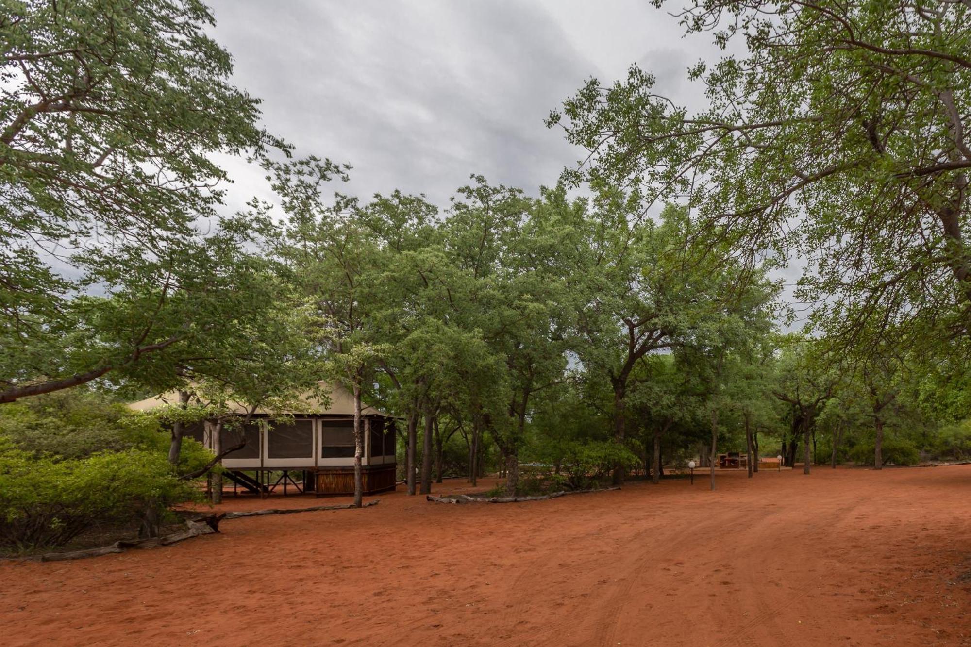 Iphofolo Lodge & Tented Camp Vivo Eksteriør billede