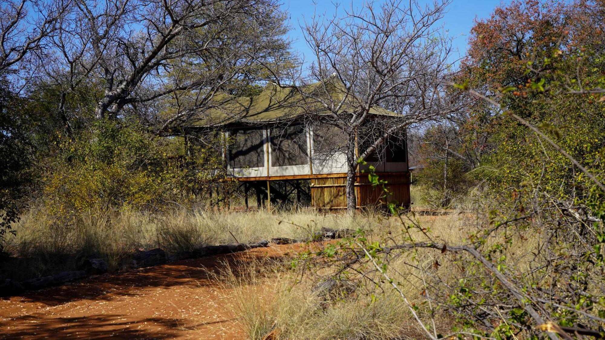 Iphofolo Lodge & Tented Camp Vivo Eksteriør billede