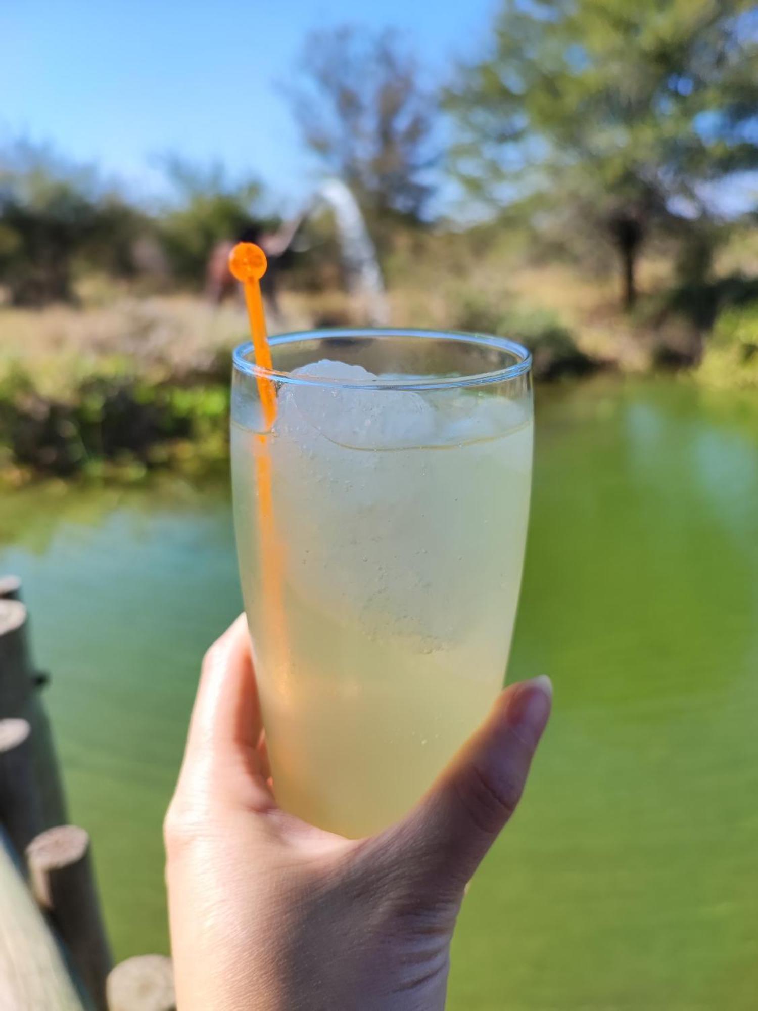 Iphofolo Lodge & Tented Camp Vivo Eksteriør billede